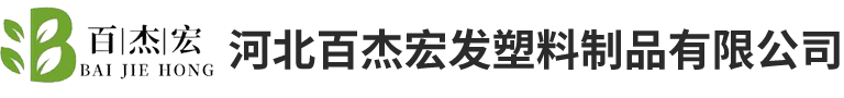 最准三肖必出